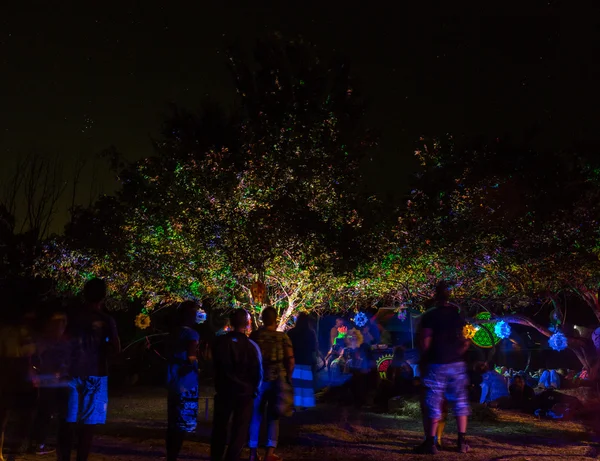 Nächtliches Fest in der Natur — Stockfoto