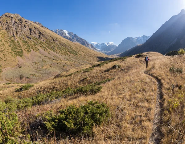 Красивые горы Казахстана — стоковое фото