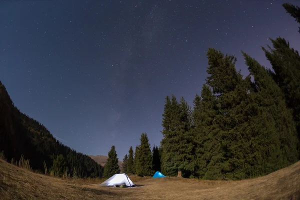 Nuit camping sous les étoiles Montagnes — Photo
