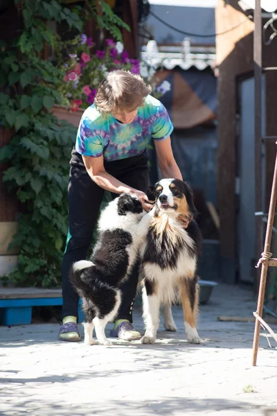 Woman playing with dog outdoors — Stock Photo, Image