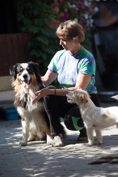 Vrouw met hond buiten spelen — Stockfoto