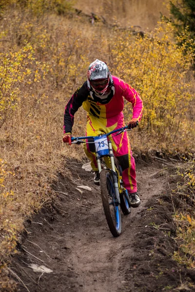 Campeonato cuesta abajo bicicleta —  Fotos de Stock