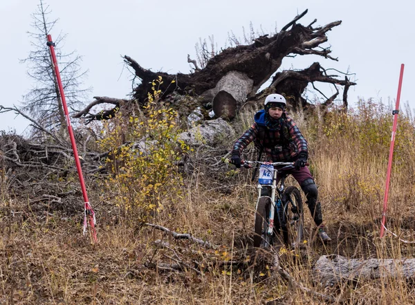 Campionato discesa in bicicletta — Foto Stock