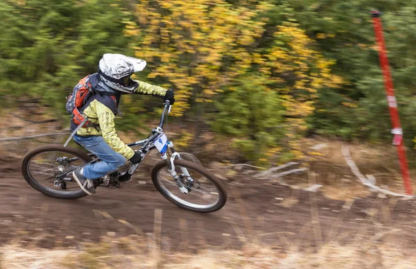 Campeonato cuesta abajo bicicleta —  Fotos de Stock