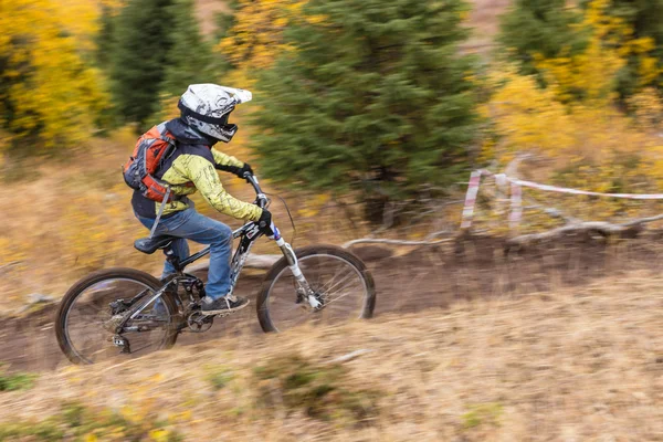 Campionato discesa in bicicletta — Foto Stock