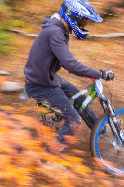 Championship downhill bike — Stock Photo, Image