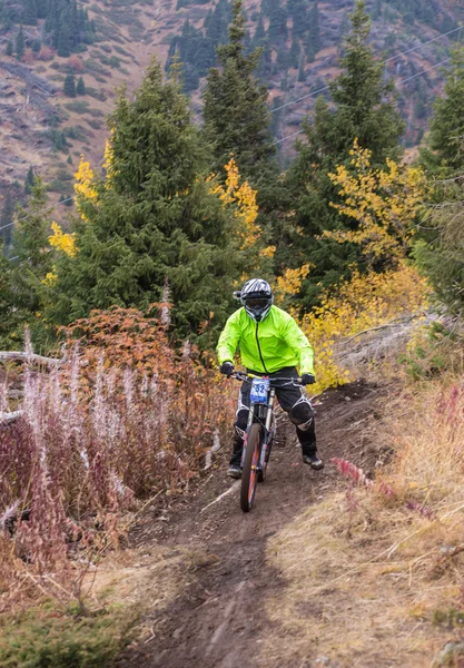 Campionato discesa in bicicletta — Foto Stock