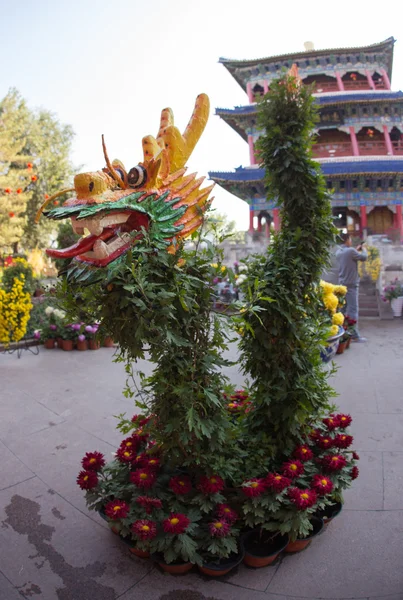 Čínské mlhavé park s pavilony a květiny — Stock fotografie