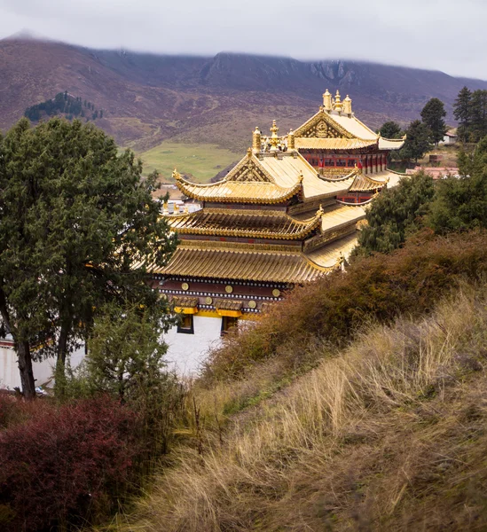 Tibetan Buddhist monastery in China — Stock Photo, Image