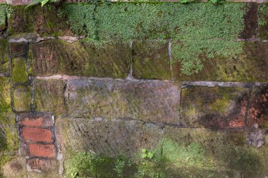 çok güzel eski Çin park