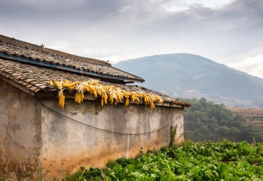 Tarlaları ve evleri olan kırsal alan
