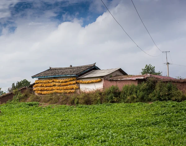 Paisaje rural con campos y casas —  Fotos de Stock