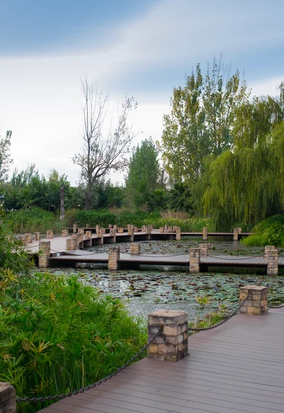 Chinese park with a pond and boats — Stock Photo, Image