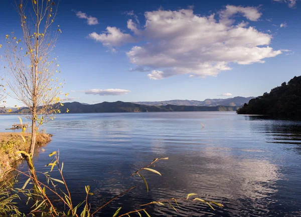 Clear lake surrounded by autumn forest — Stock Photo, Image