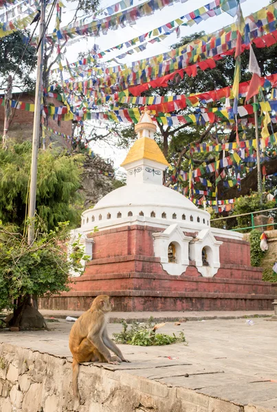 Buddhistische Stupa - buddhistisches Gotteshaus — Stockfoto