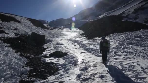 Senderista en la caminata en el Himalaya — Vídeos de Stock