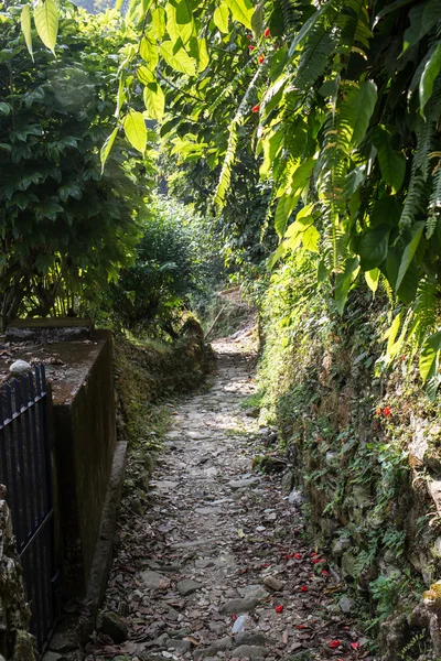 Camino de piedra en las montañas — Foto de Stock