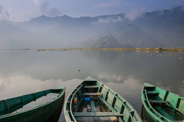 Imagem de um cisne no lago — Fotografia de Stock