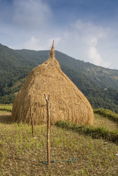 Paisaje rural con campos y casas —  Fotos de Stock