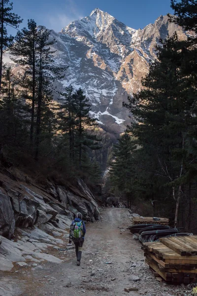 Escursionista durante il trekking in Himalaya — Foto Stock