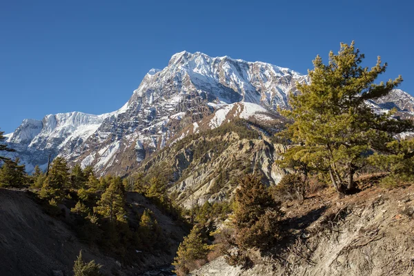 Annapurna Peack sur en Nepal Himalaya —  Fotos de Stock