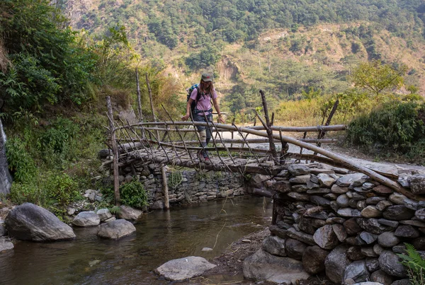 Pont suspendu sur le circuit d'Annapurna — Photo