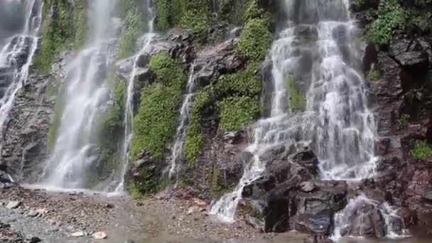 Waterfall in deep forest — Stock Video
