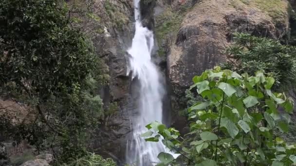 Cascada en bosque profundo — Vídeos de Stock