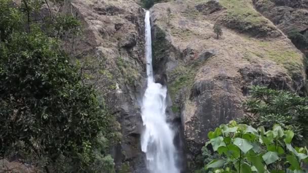 Waterfall in deep forest — Stock Video