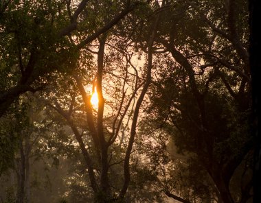 Fantezi Afrika peyzaj 