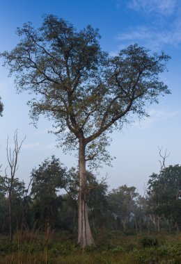 Fantezi Afrika peyzaj 