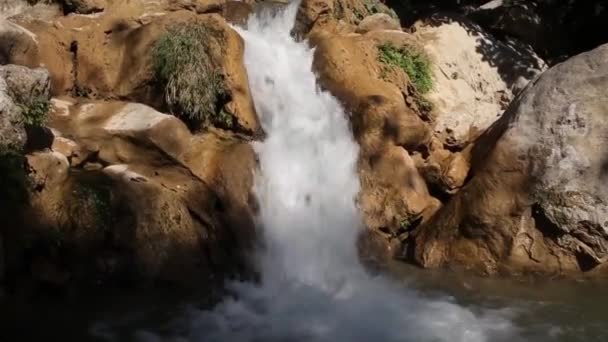 Cascade en forêt profonde — Video