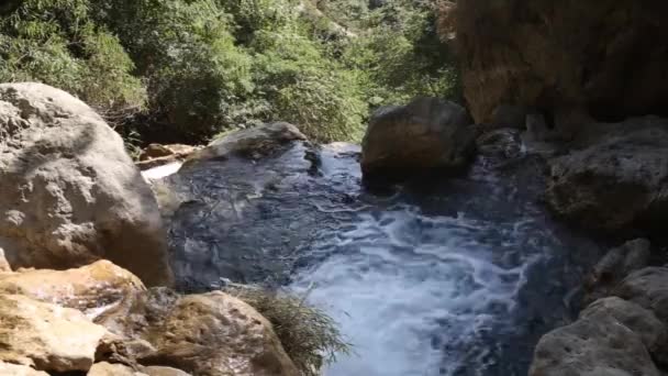 Cachoeira na floresta profunda — Vídeo de Stock