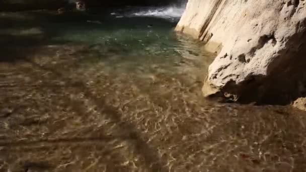 Cachoeira na floresta profunda — Vídeo de Stock