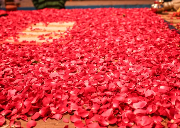 Teppich aus roten Blütenblättern wächst — Stockfoto