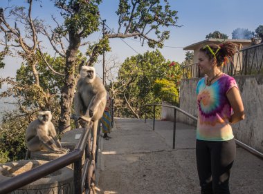 Girl and monkey in nature looking at each other
