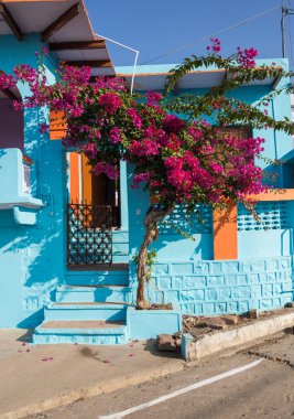 Bright blue house and tree with red flowers