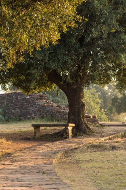 ağacın altında tezgah 