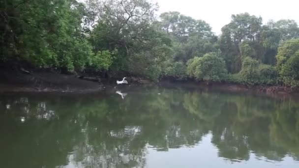 Arbres réfléchis sur l'eau du lac ondulé 