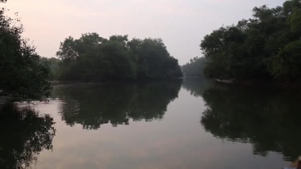 Bäume spiegeln sich im plätschernden Wasser des Sees — Stockvideo