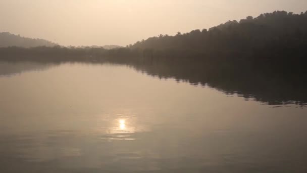 Árboles reflejados en el agua ondulada del lago — Vídeo de stock