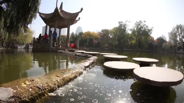 Kabbelende beek in het Chinese Park — Stockvideo