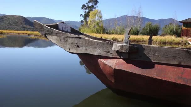 Fák és egy csónak a tó — Stock videók
