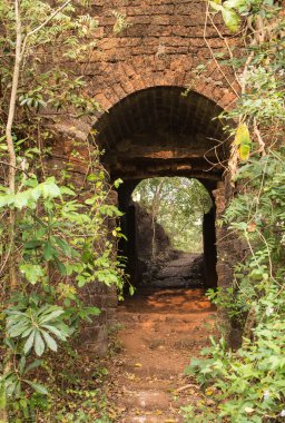  gün batımında dev Hint inciri ağacı Tapınağı. 