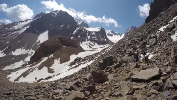 Lång rad av turister i bergen — Stockvideo