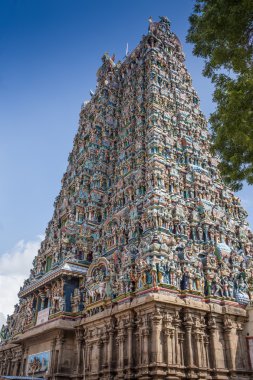 Meenakshi Amman tapınağın renkli Kulesi