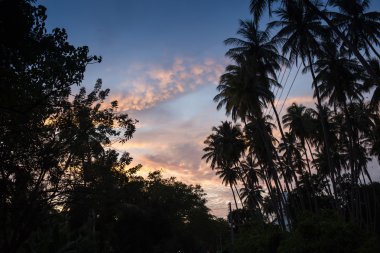 panoramik manzaralı güzel tropikal günbatımı