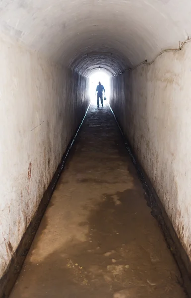 Gehen Sie ins Licht. — Stockfoto