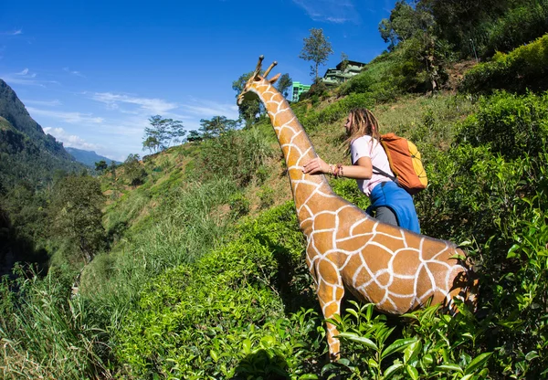 Mãe girafa — Fotografia de Stock