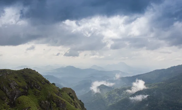 Été montagnes herbe verte — Photo